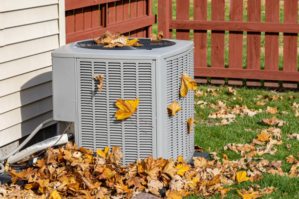 Best HVAC Air Duct Cleaning  in Mount Carmel, TN